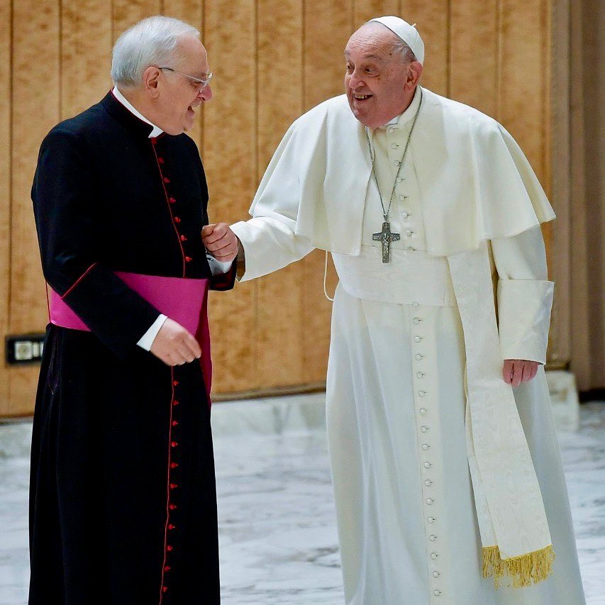 Papa Francisco tropeca apos bengala quebrar em audiencia no Vaticano 3