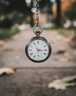 Sem pressa e sem preguiça 1 Foto: Andrik Langfield/ Unsplash