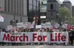Bispos e milhares de pessoas participam da Marcha pela Vida na Alemanha 1 Foto: Archivo – referencia