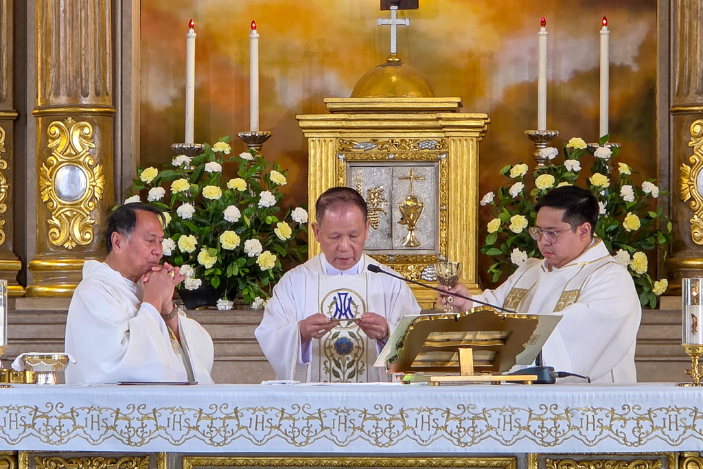 Cardeal filipino convida fieis a normalizarem a santidade 2